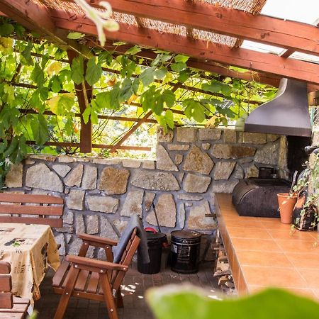 Apartmany Pod Lesem Rodvínov Екстериор снимка