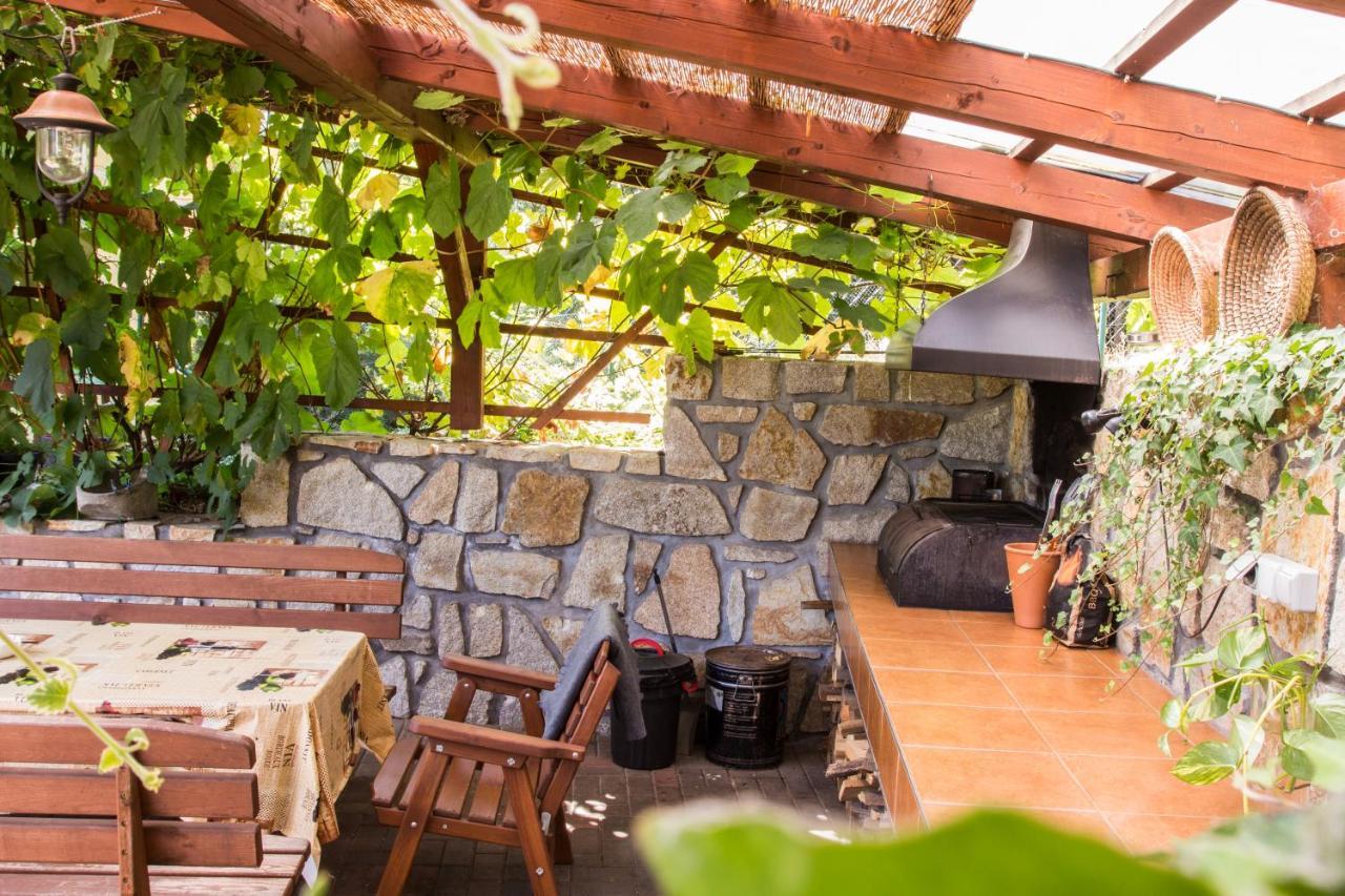 Apartmany Pod Lesem Rodvínov Екстериор снимка